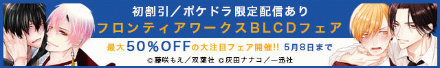 フロンティアワークスBLCDフェア